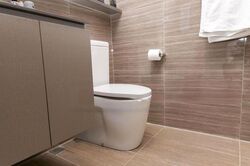 The Brownstone (D27), Condominium #445869141